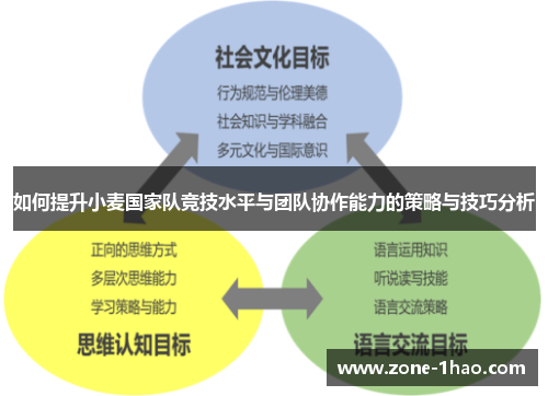 如何提升小麦国家队竞技水平与团队协作能力的策略与技巧分析