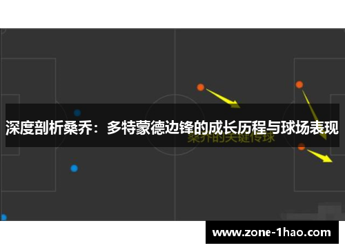 深度剖析桑乔：多特蒙德边锋的成长历程与球场表现